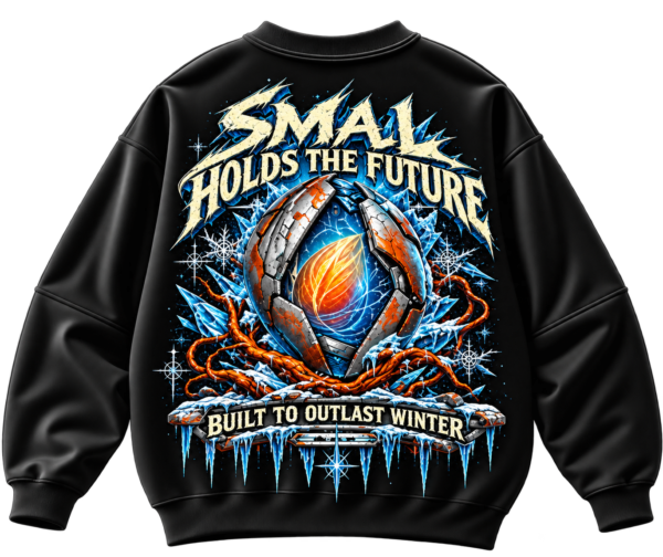 Small Holds the Future oversized black graphic sweatshirt featuring a glowing seed, icy blue branches, winter botanical artwork and nature-inspired back print.